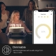 Kasa Smart Light Bulb, Dimmable  2