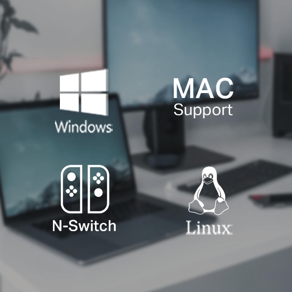 Adaptor de Rețea Ethernet la USB 3.0 10