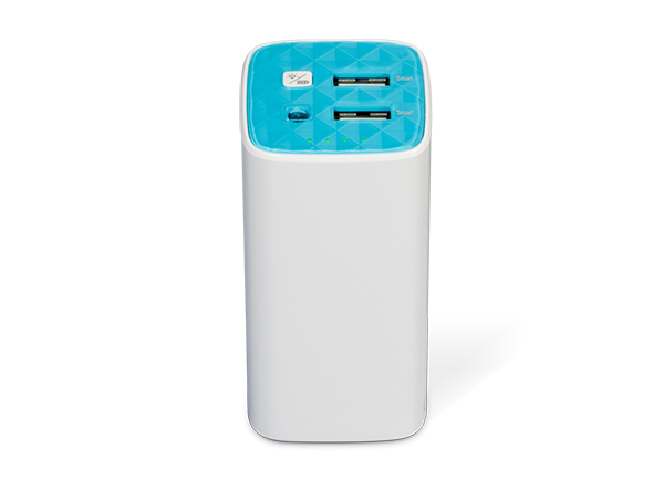 Batterie de secours Power Bank 10400mAh 1