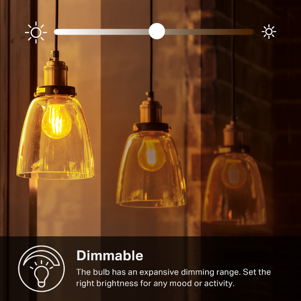 kasa filament smart bulb