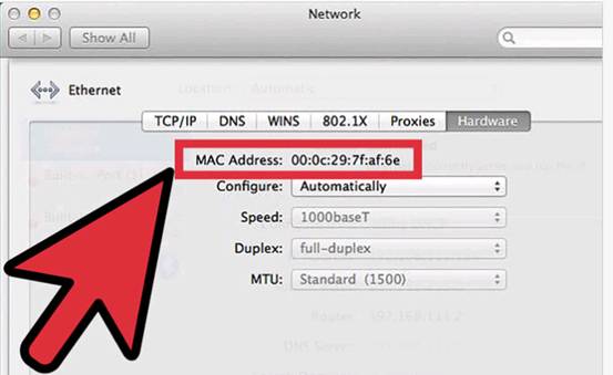 check network mac address