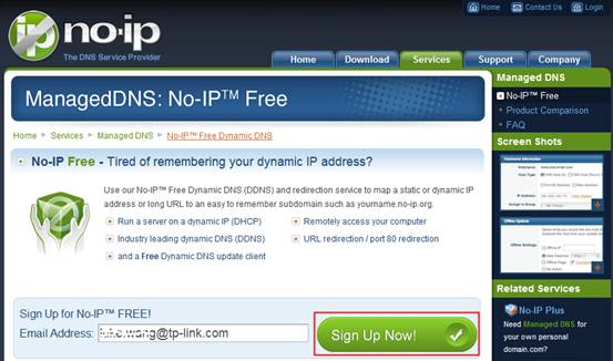 No IP DNS. Noip com