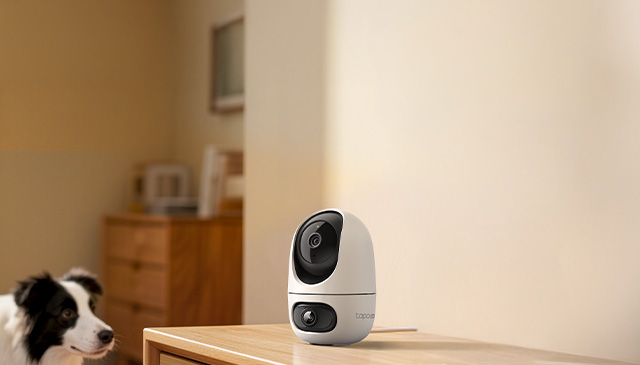 Tapo C245D Product Page