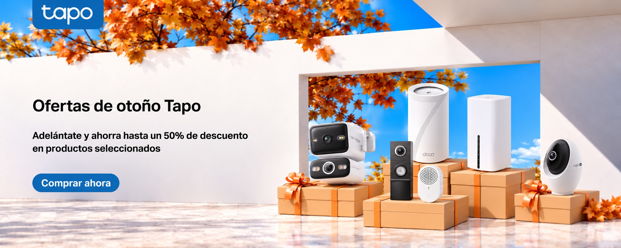 D2C Oct Sale