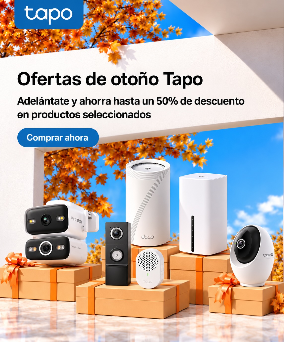 D2C Oct Sale