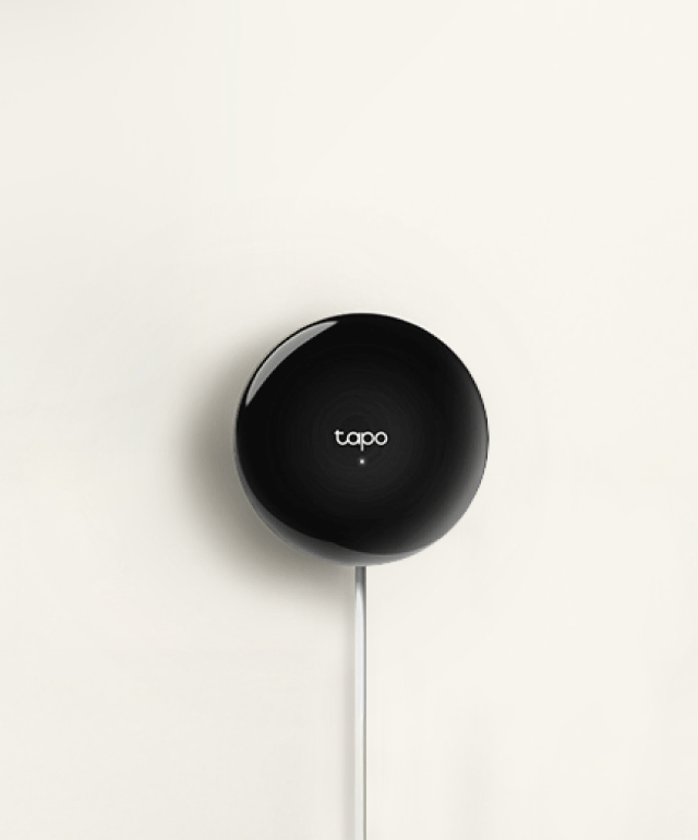 Tapo H110