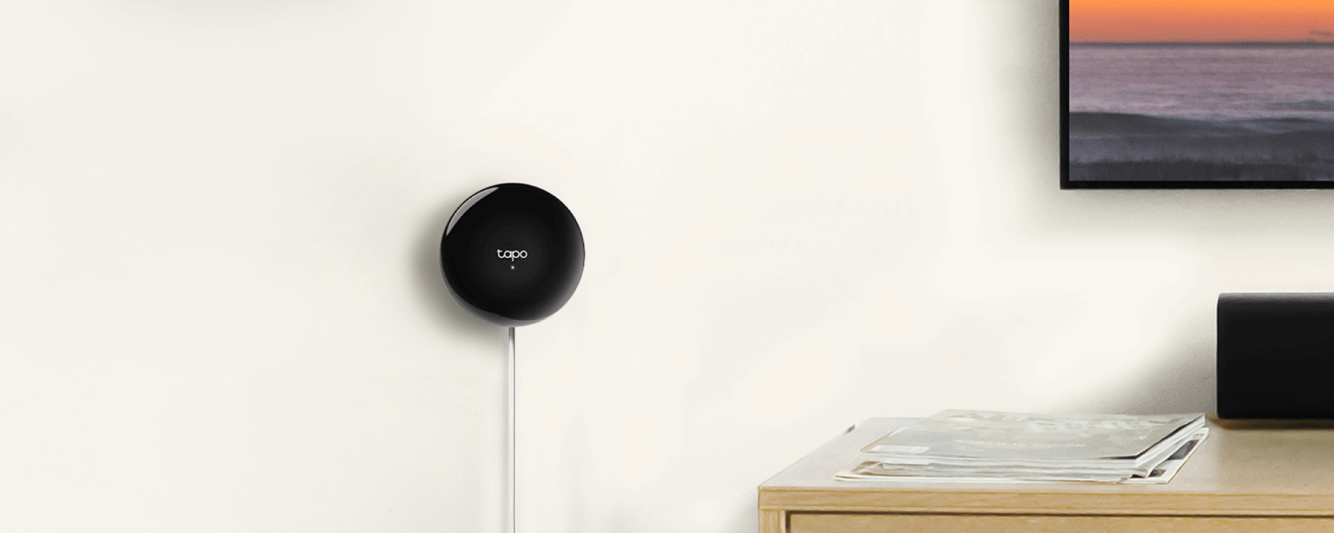 Tapo H110
