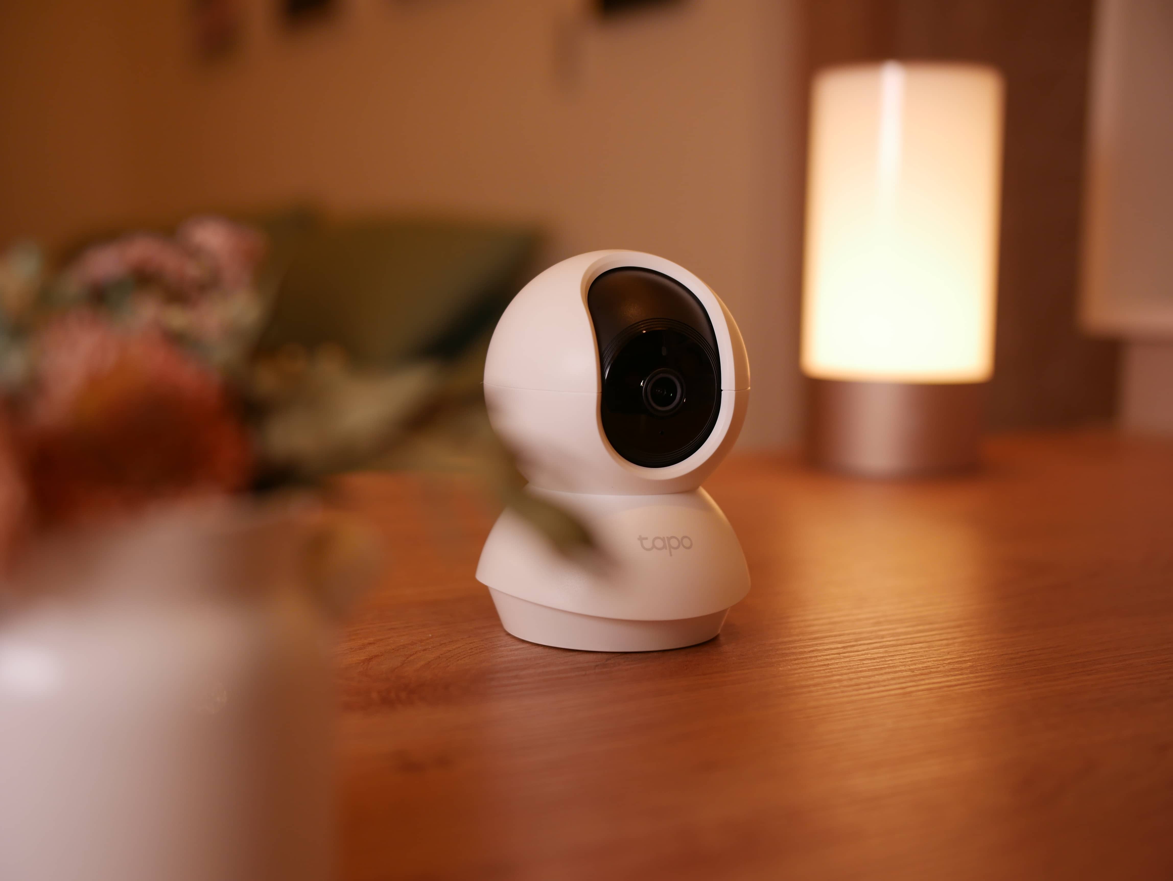 Can You Use a Security Camera to Watch Your Pets?