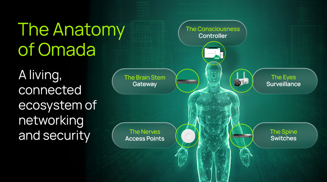 The Anatomy of Omada: A Living Network Built for Business