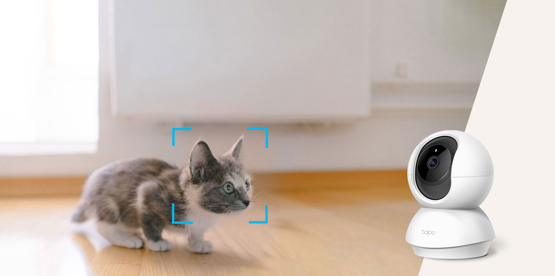 Comment choisir sa caméra de sécurité Tapo ?