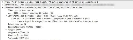 Packet capture example.