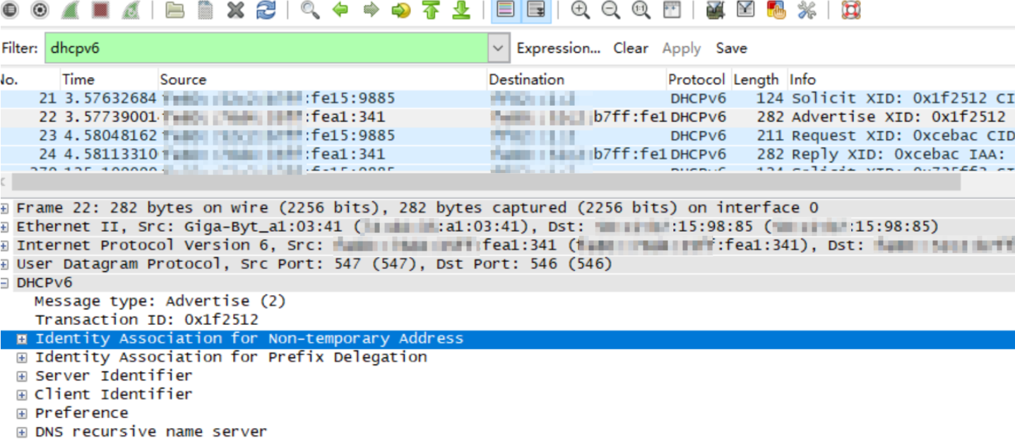 IANA, DNS and PD field.