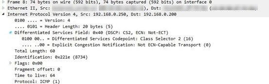 Packet capture example.