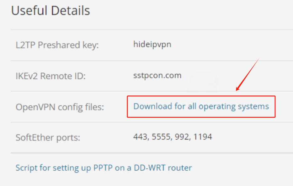 Useful Details page of HideIPVPN.