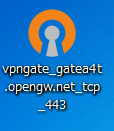 The OpenVPN file icon saved on your desktop.