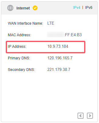 The Status Page of the router's web UI shows the IP address from the ISP.