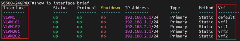 Alt text: The brief result of current IP interfaces on the VRF device.