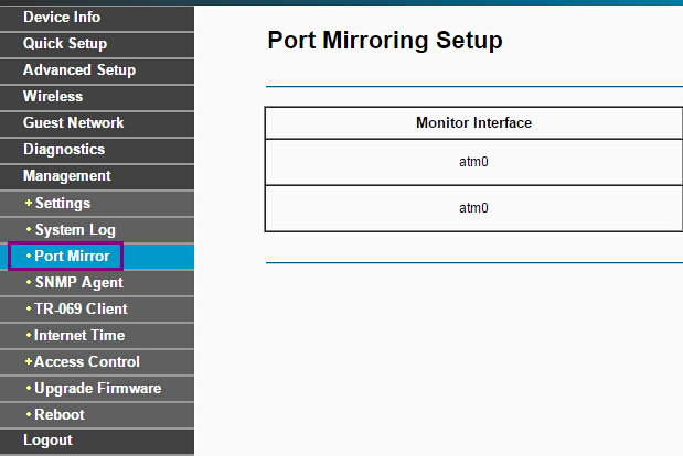 "Port Mirroring Setup" page.