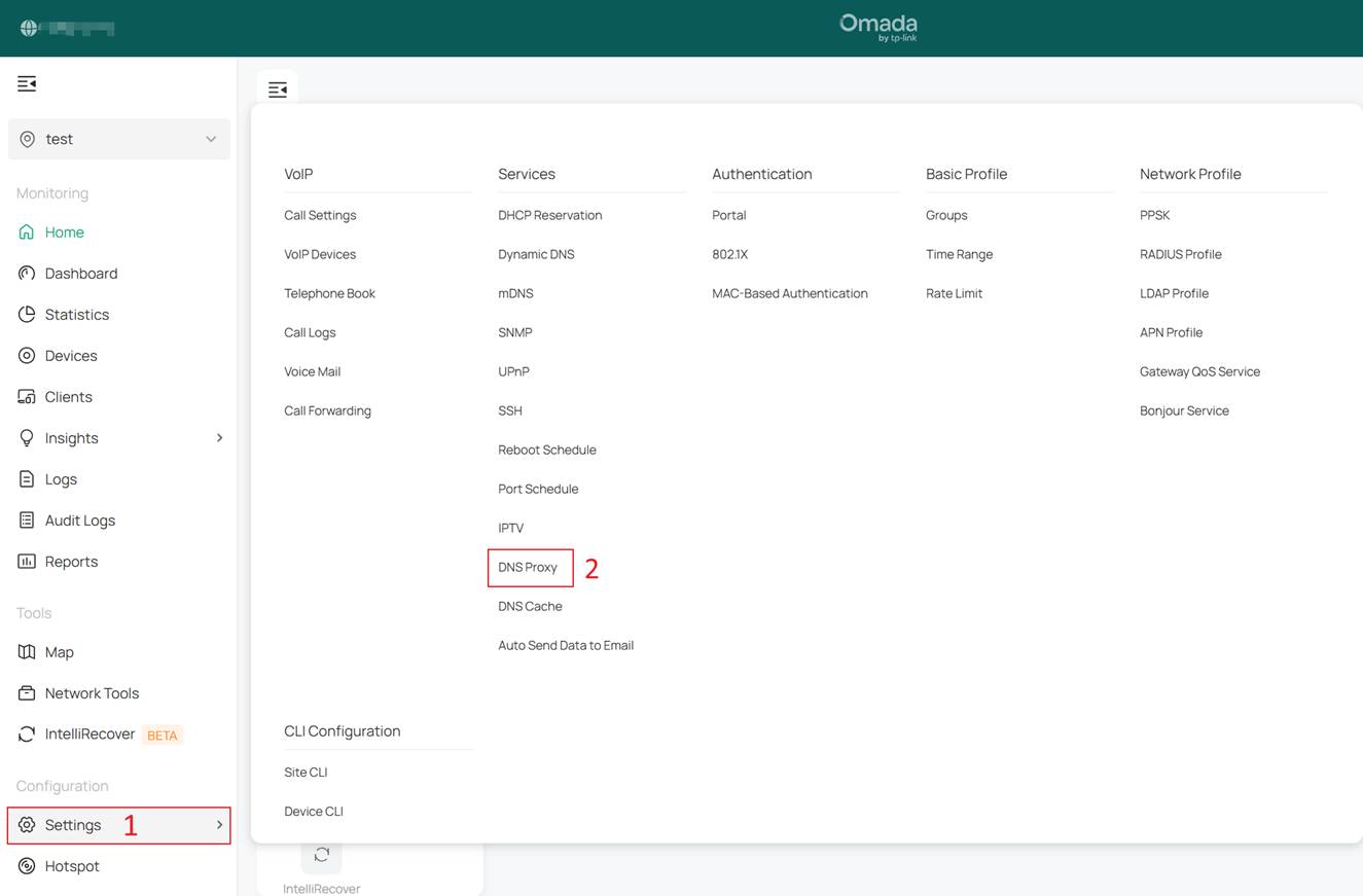 Alt Text: Entrance of DNS Proxy in Omada Controller.