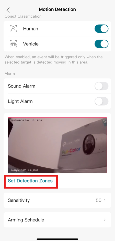 Screenshot of VIGI App Set Detection Zones highlighted.