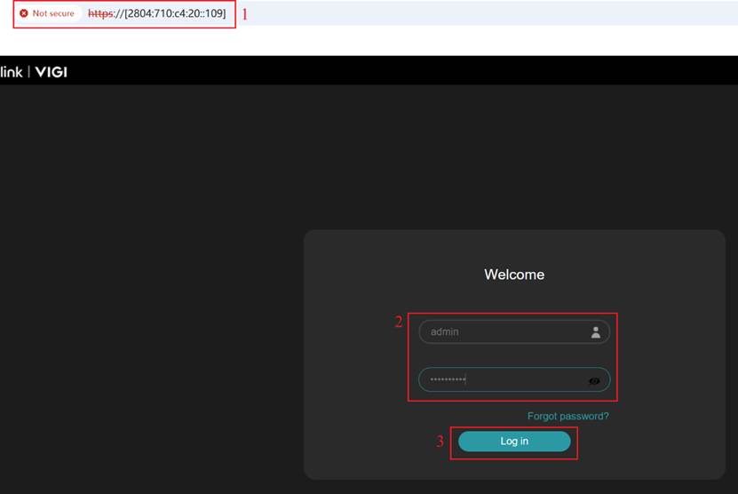 Access the NVR web interface via IPv6.