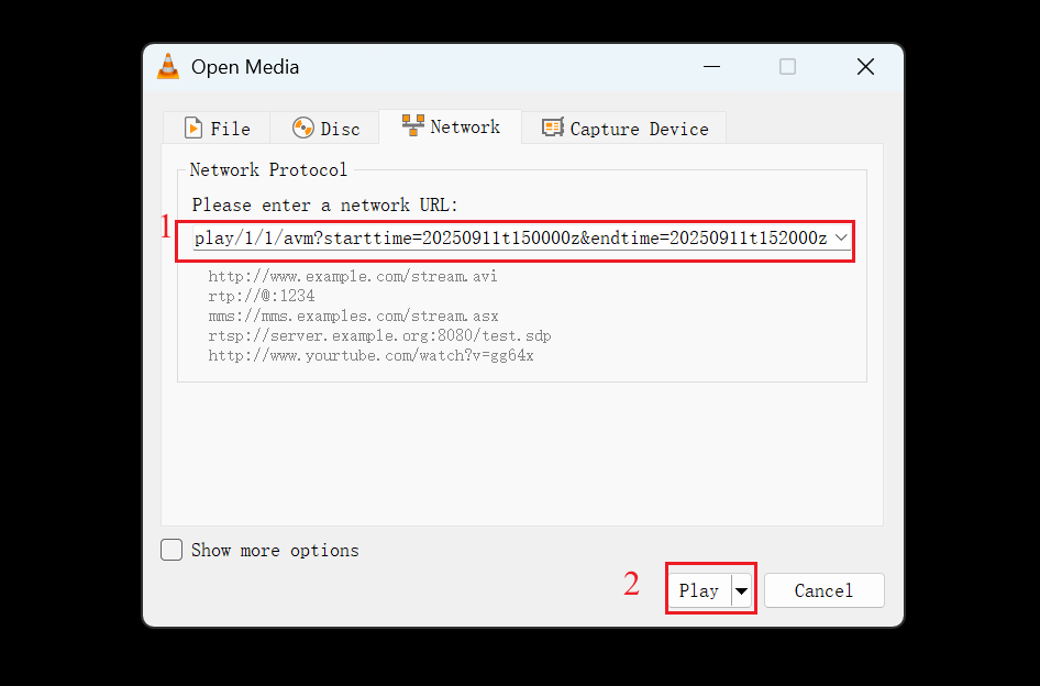 Alt text: Enter the RTSP URL to stream the playback video