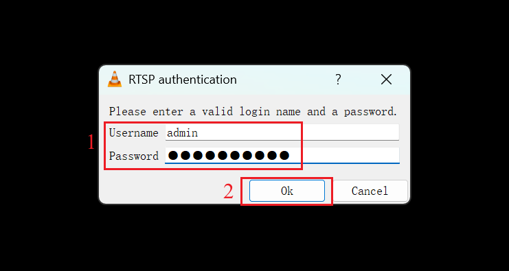 Alt text: Use the username and password to complete RTSP authentication.