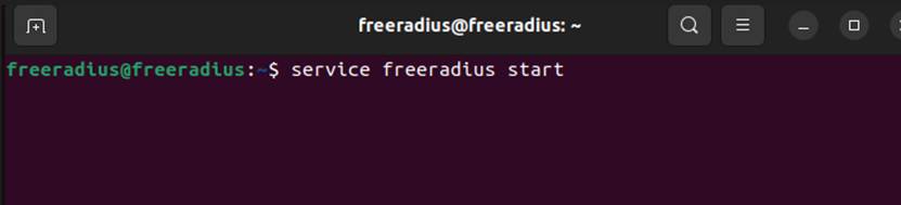 Show command of starting the server.