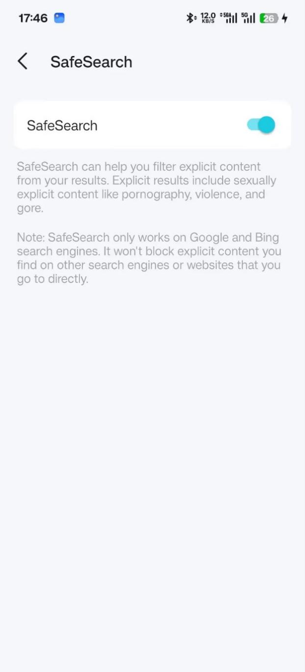 SafeSeatch page.