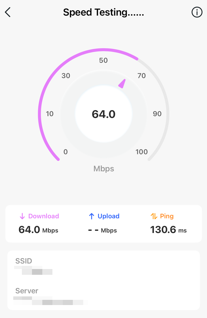 Data display page during the speed test.