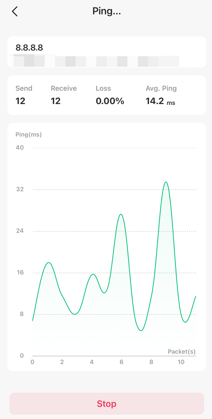 Data display page during the ping test.