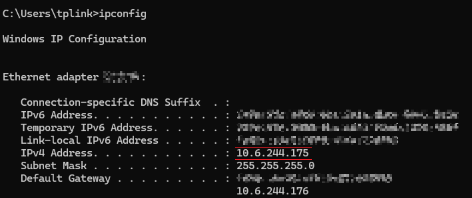 IP address obtained by the computer.