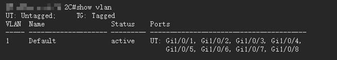 Checking VLAN configuration on the switch using the Terminal tool.