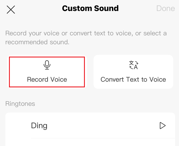 Tap record voice.