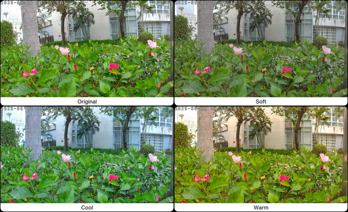 Effects of different image styles taken by Tapo C460 with 50% Brightness.