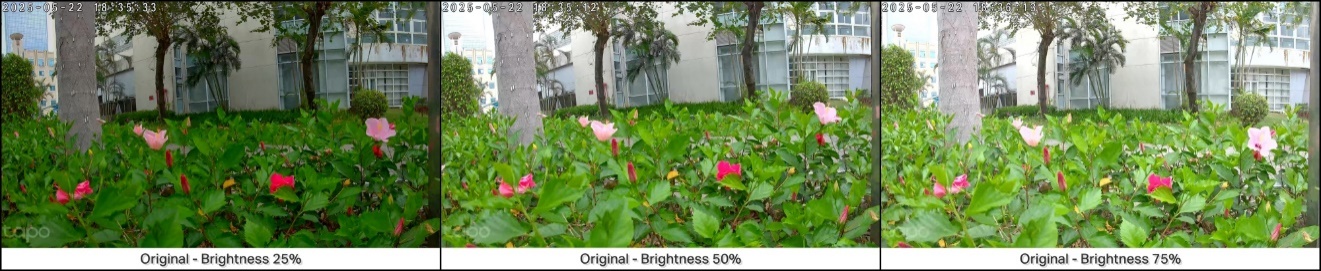 Effects of different image brightness level.