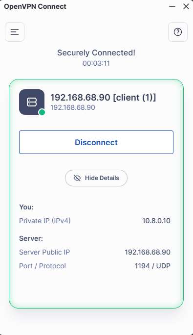 The OpenVPN client successfully connects to OpenVPN Server.