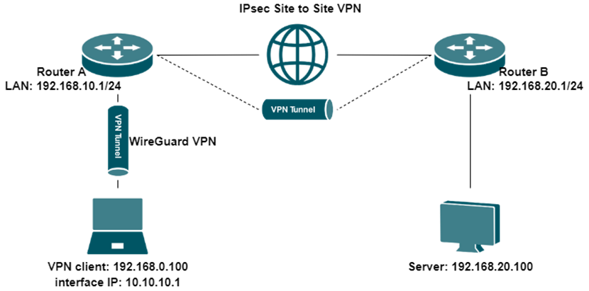 Display the network topology.