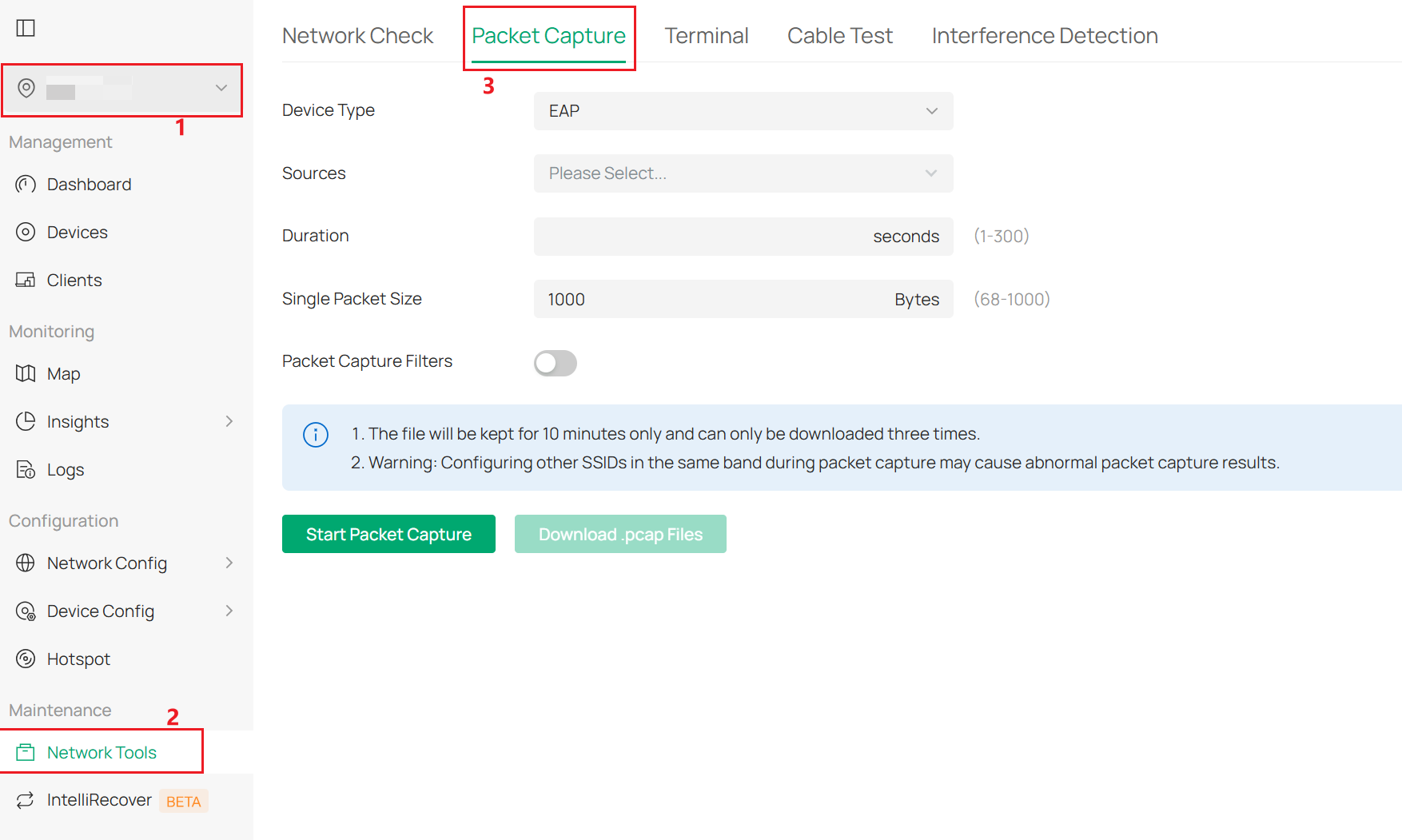 The Packet Capture page in Site > Network Tools.