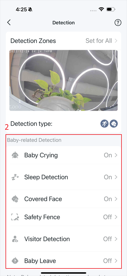 The location “Baby-related Detection” on the detection page.