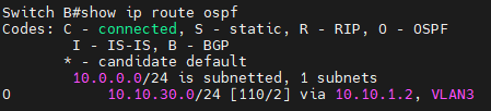 Routing Table of Switch B.