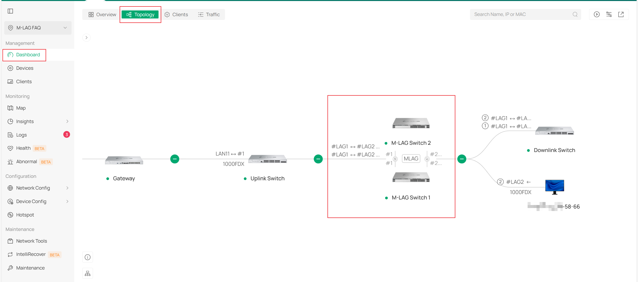 Topology displayed in the controller.