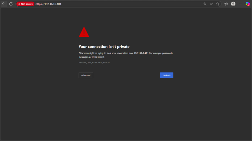 Screenshot shows the browser warning.