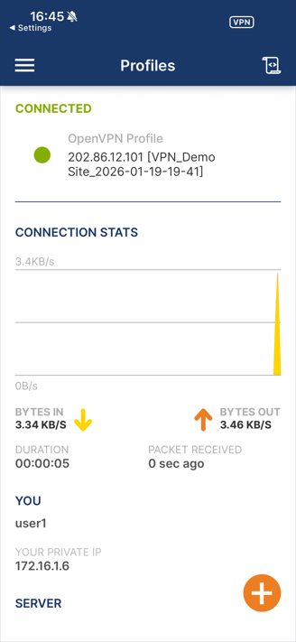 Show an example of a successful connection.