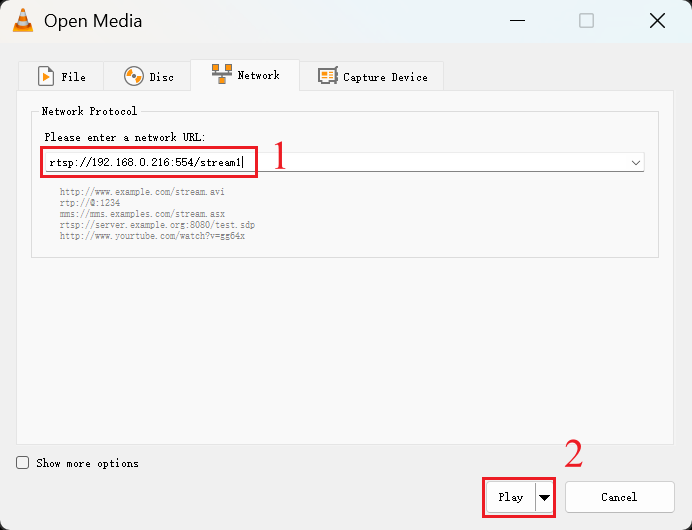 Fill in the URL and click the play.