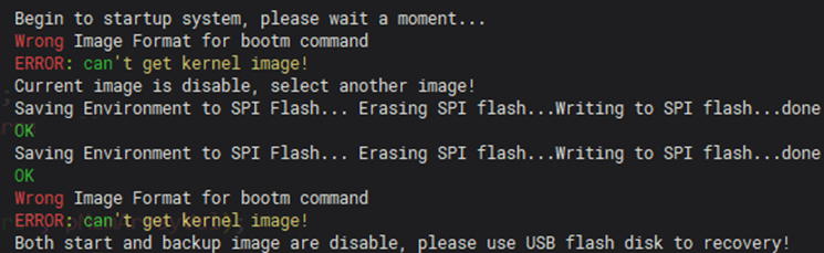 Show the error messages when dual image damaged