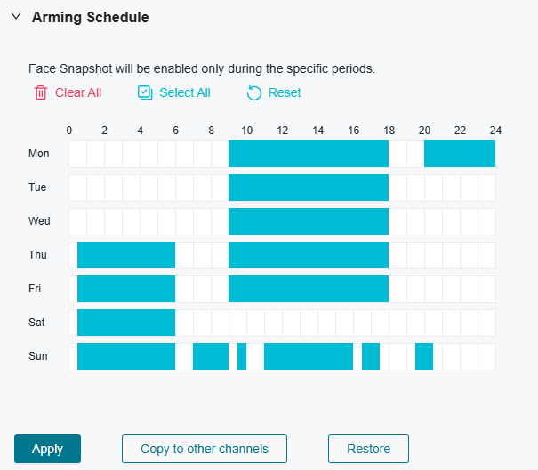 Configure the times at which Face Analysis will be active.