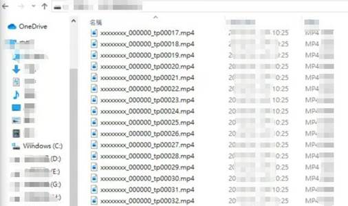 Screenshot of a Windows file explorer showing SD card folder and file naming structure.
