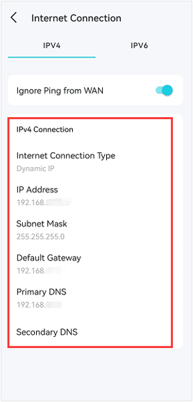 IPv4 Connection screen showing DNS fields.
