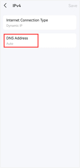 IPv4 screen with highlighting DNS address.